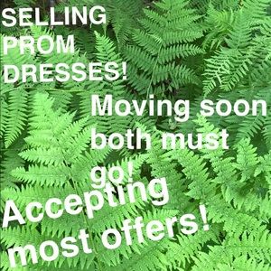 PROM DRESSES MUST GO!